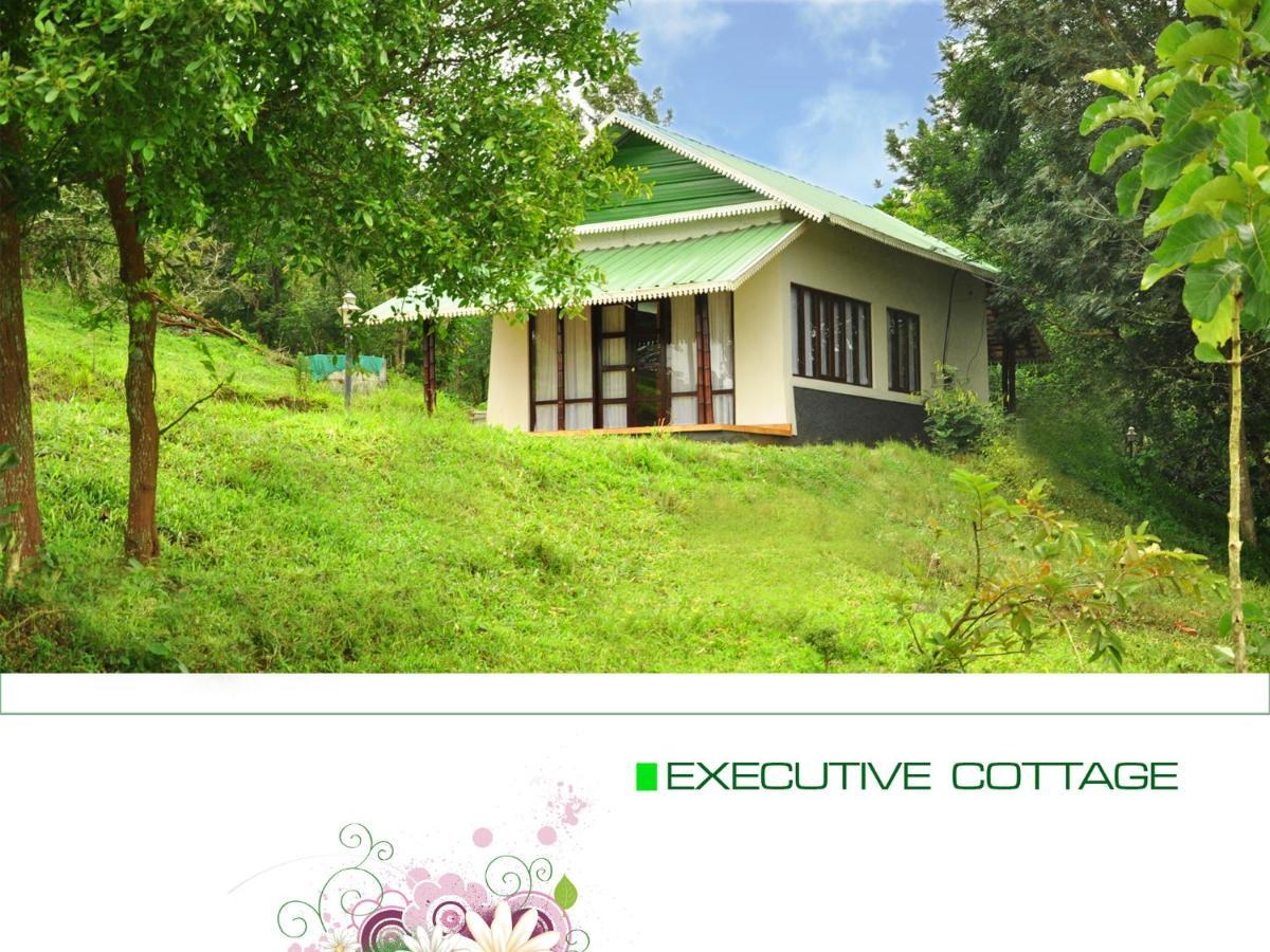 Punarjani Ayurvedic Resorts Ramakkalmedu Eksteriør billede
