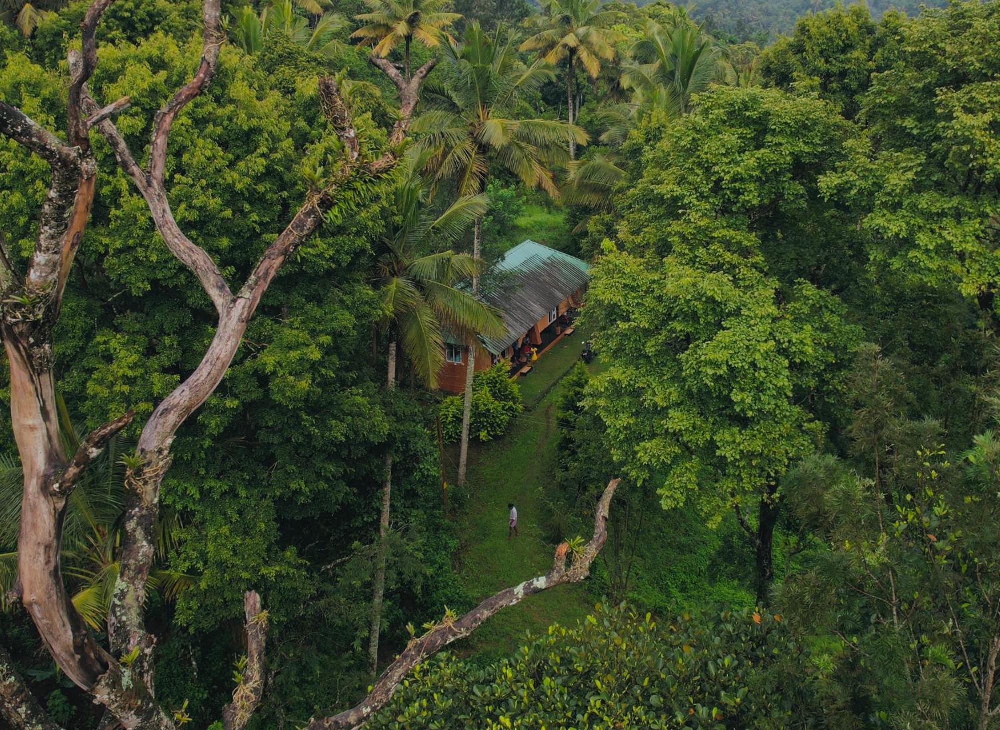 Punarjani Ayurvedic Resorts Ramakkalmedu Eksteriør billede