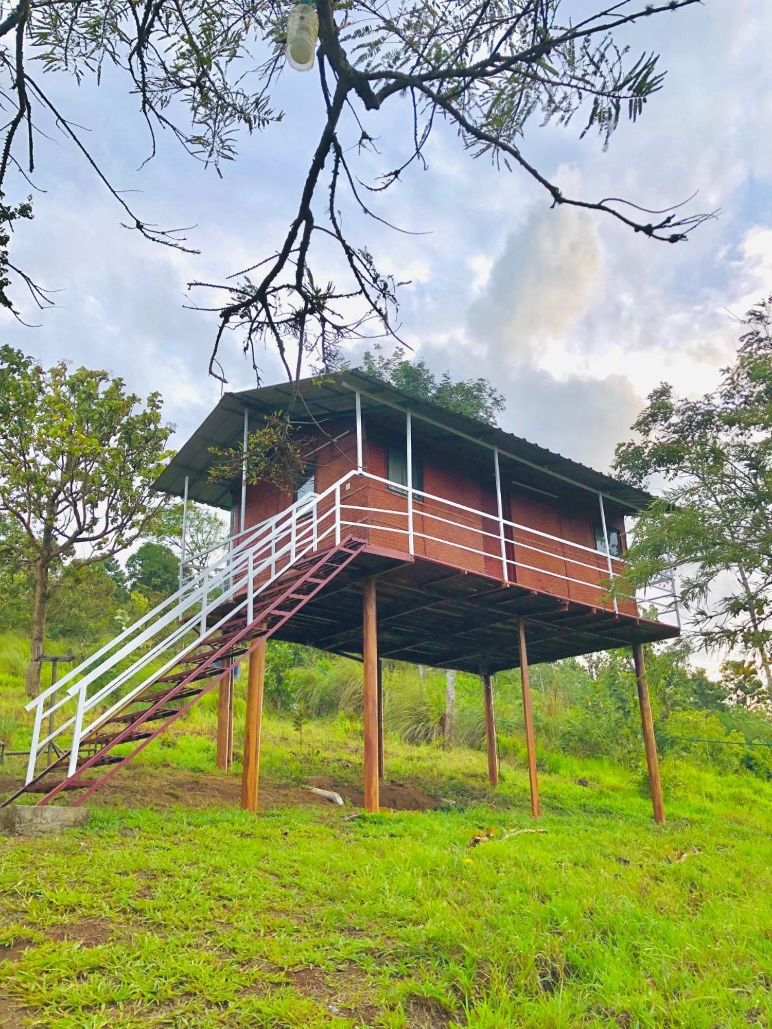 Punarjani Ayurvedic Resorts Ramakkalmedu Eksteriør billede